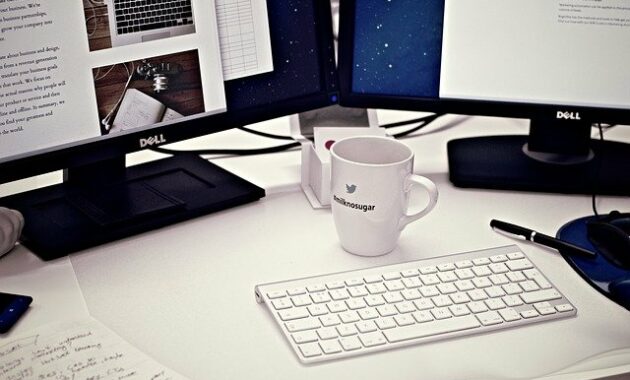 startup adalah